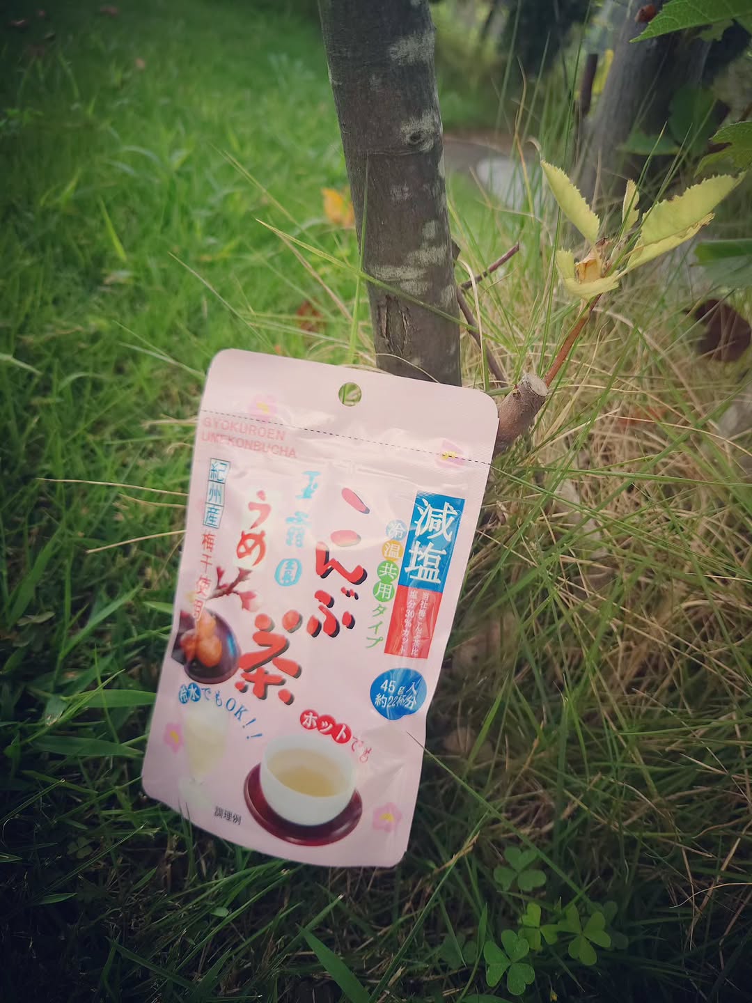 口コミ投稿：夏バテしなかったのは🤞これのおかげかな🥰冷たい水にいれて飲んだり、料理にも使えま…