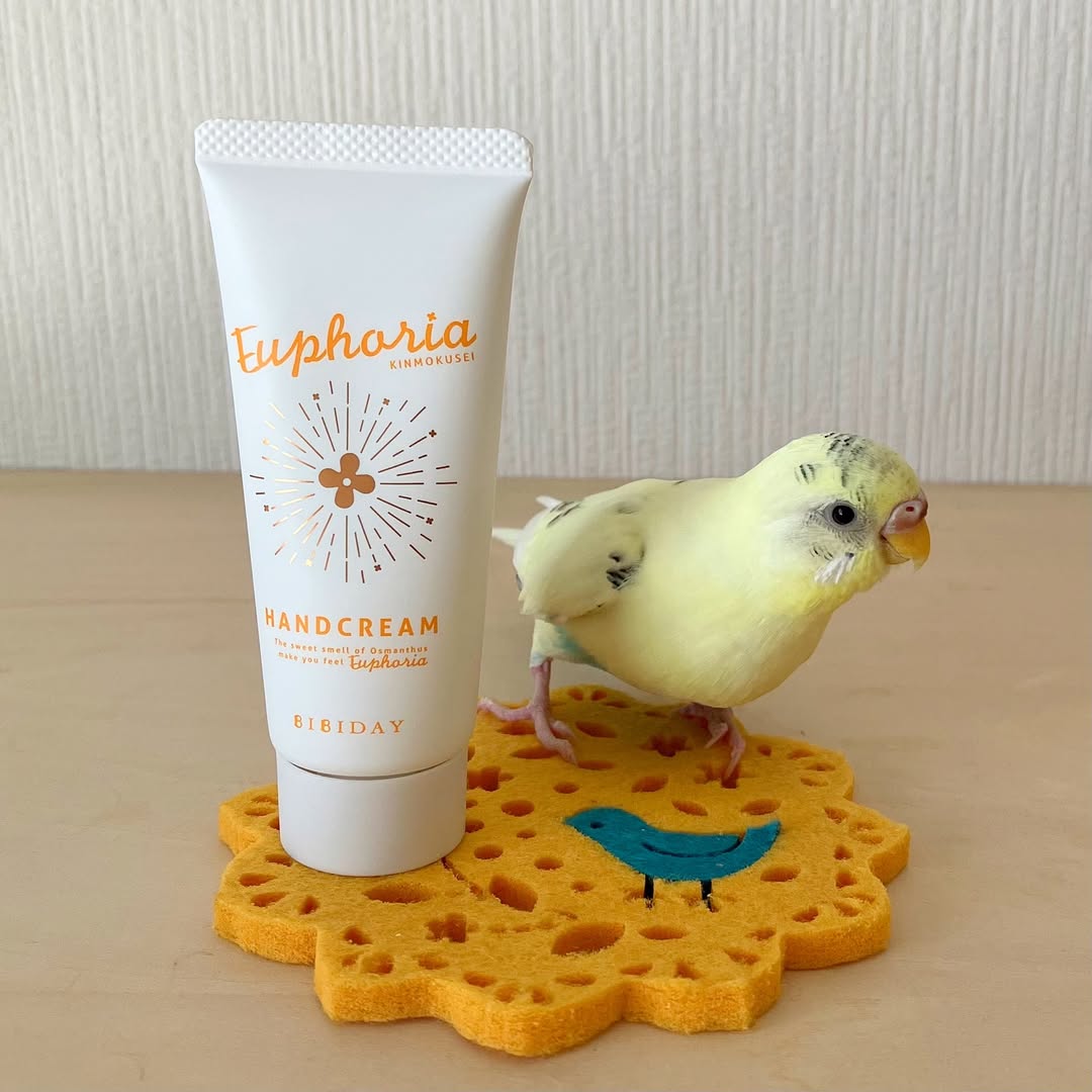 口コミ投稿：『BIBIDAY・Euphoria キンモクセイ ハンドクリーム』で、ママの手がスベスベになるぞ…