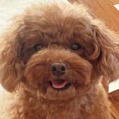 口コミ：【W洗顔不要】徹底毛穴ケア★薬用天然クレンジング「DoWhite+」の画像（2枚目）