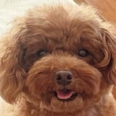 口コミ：【W洗顔不要】徹底毛穴ケア★薬用天然クレンジング「DoWhite+」の画像（5枚目）