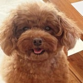 口コミ：【W洗顔不要】徹底毛穴ケア★薬用天然クレンジング「DoWhite+」の画像（10枚目）