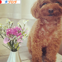 口コミ：【W洗顔不要】徹底毛穴ケア★薬用天然クレンジング「DoWhite+」の画像（14枚目）