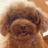 口コミ：【W洗顔不要】徹底毛穴ケア★薬用天然クレンジング「DoWhite+」の画像（6枚目）