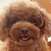 口コミ：【W洗顔不要】徹底毛穴ケア★薬用天然クレンジング「DoWhite+」の画像（8枚目）