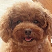 口コミ：【W洗顔不要】徹底毛穴ケア★薬用天然クレンジング「DoWhite+」の画像（1枚目）