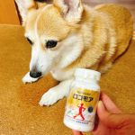 毎日の健康作りに。膝に不安感があるのでロコモア！ミルクちゃんのお散歩楽しみたいからね🐶🐶飲みやすい錠剤なので続けやすいです♪#PR #サントリーウエルネス株式会社 #ロコモア #monipl…のInstagram画像