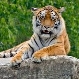 口コミ投稿：Monitor monipla#PR #AAtestAA #あらテント #monipla #aainccojpp_fan