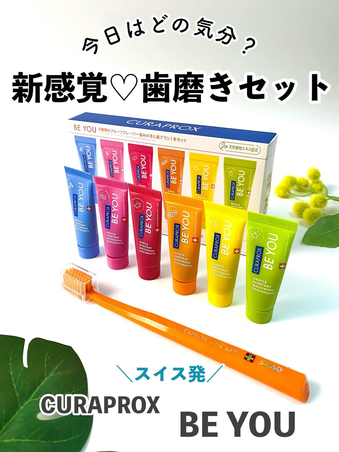 口コミ投稿：【CURAPROX】スイス発🇨🇭のCURAPROXから全部のフレーバーが楽しめる歯磨きセットが登…