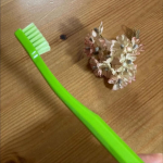 クラプロックス　キッズ　子ども歯ブラシ(4歳～12歳)4歳から12歳までのお子様のために特別に設計された、小さなお口でも奥まで届くコンパクトなブラシヘッドだそうで、我が家の8歳の娘も磨きやすいと大…のInstagram画像