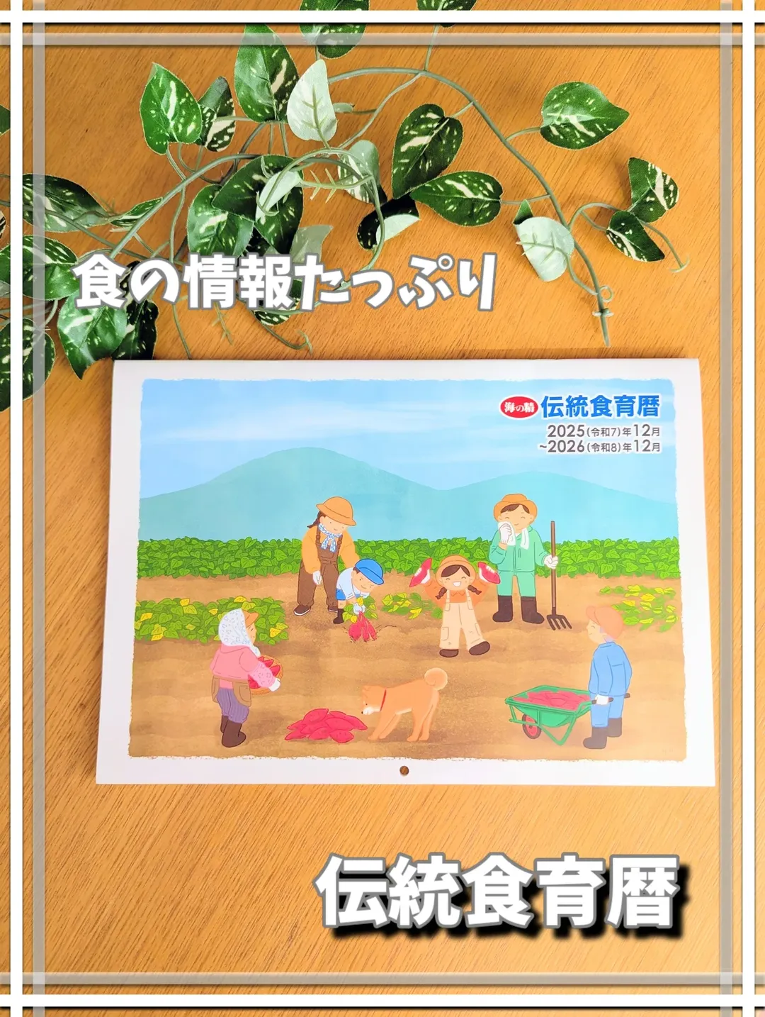 口コミ投稿：.海の精様＼伝統食育暦／⋆┈┈┈┈┈┈┈┈┈┈┈┈⋆モニプラ様を通して提供していただきました🌷⋆…