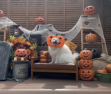 口コミ/ブログ記事の画像