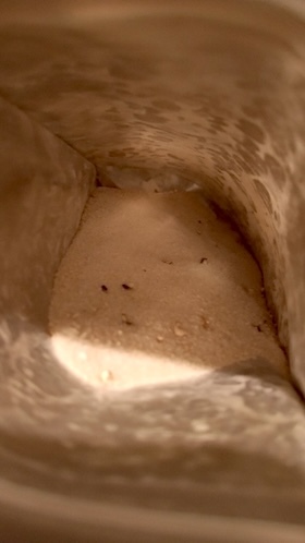 口コミ：玉露園『減塩梅こんぶ茶』の画像（4枚目）