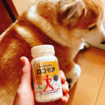 サントリー「ロコモア」1ヶ月飲みました！立ち上がりなどに膝に不安があったけど。。立ち上がりもスムーズで涼しくなって長く行けるようになった🐶ミルクちゃんのお散歩も楽々〜❣️これから寒くなるし特に…のInstagram画像