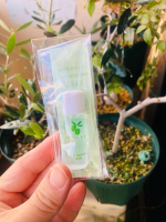 #PR #無添加工房OKADA 納得無添加の無添加工房ＯＫＡＤＡさんの美容オイルです☘️オリーブスクワラン100%です。オリーブの収穫時期ですね。オリーブスクワランはオリーブの実の0.5%し…のInstagram画像