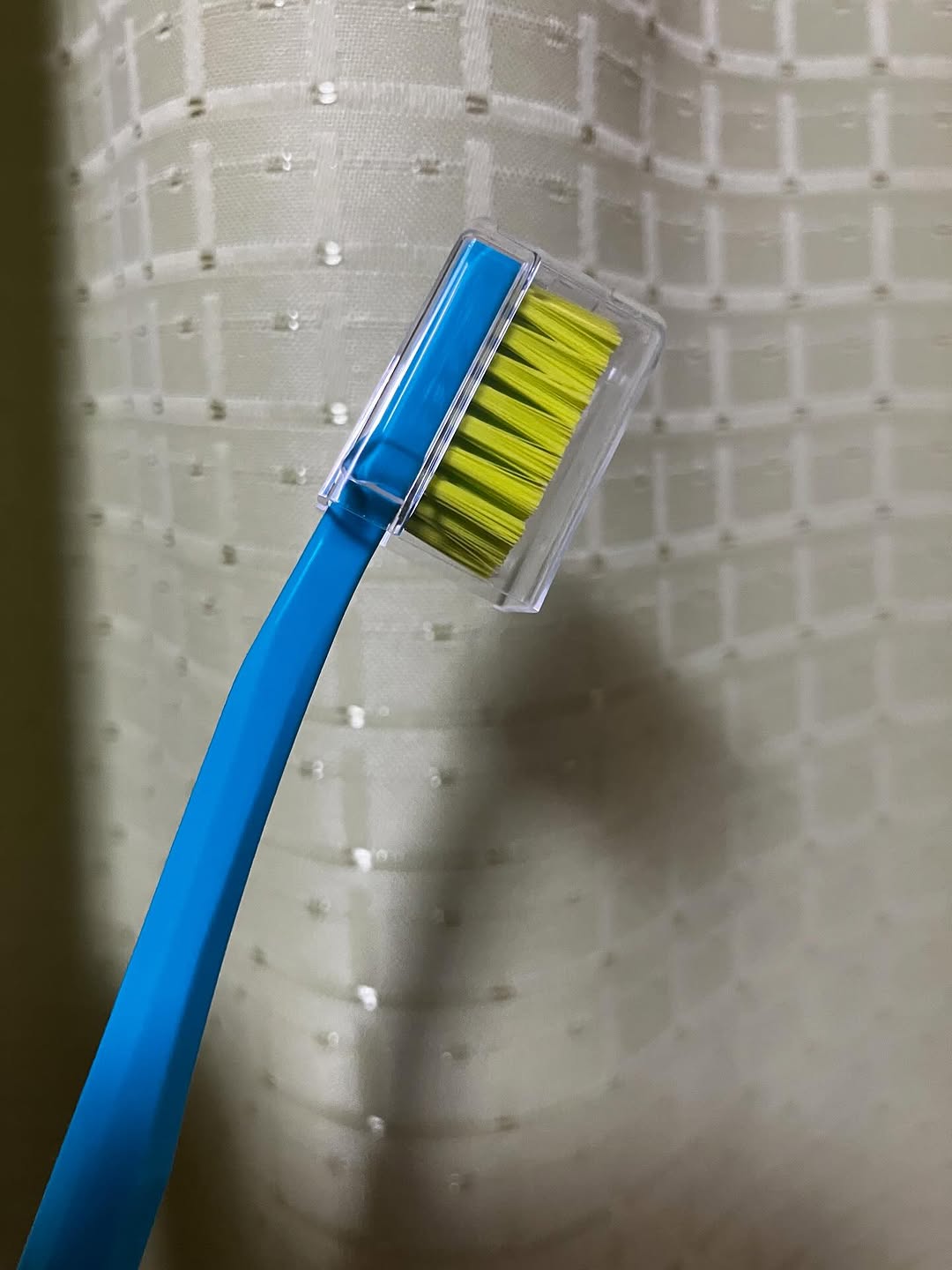 口コミ投稿：#PR #株式会社クラデンジャパン #クラプロックス使ってみた #天使の歯ブラシ #monipl…