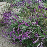 口コミ/ブログ記事の画像