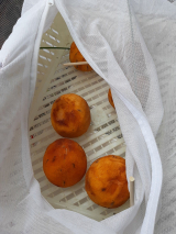 口コミ/ブログ記事の画像