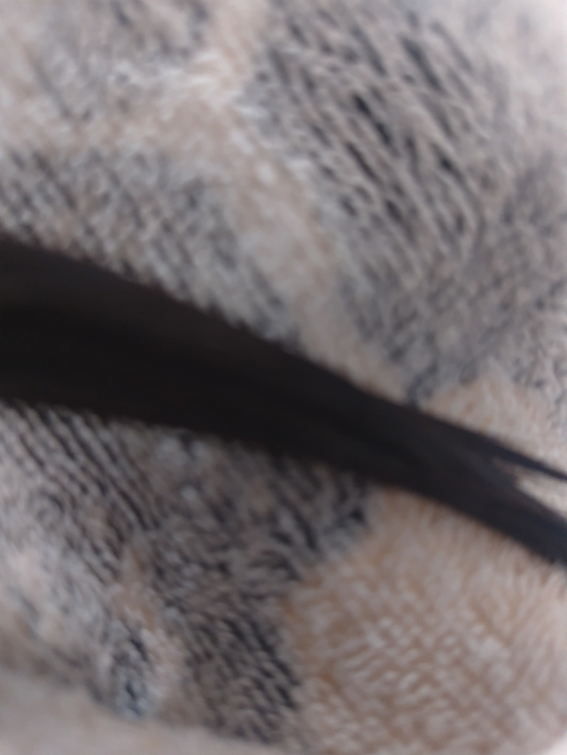 口コミ：【アミノ酸オーガニック】「オーロラシャンプー」 第二回のレビューの画像（3枚目）