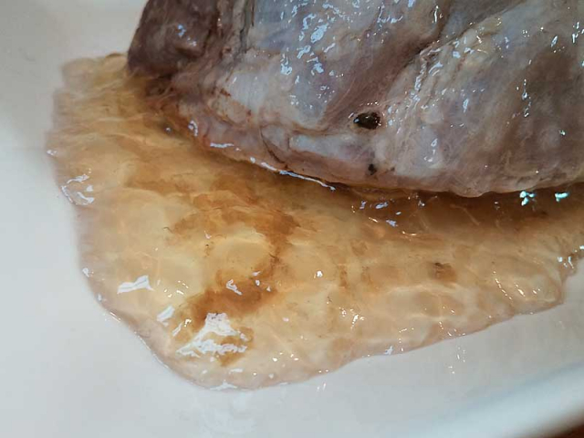 口コミ：『こんぶ茶一筋100年。確かな品質をお約束』の画像（13枚目）