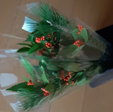 口コミ/ブログ記事の画像