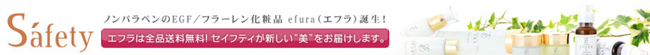 株式会社セイフティのヘッダー画像