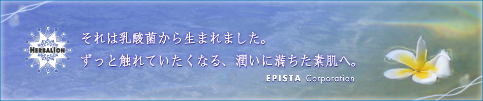 有限会社エピスタのヘッダー画像