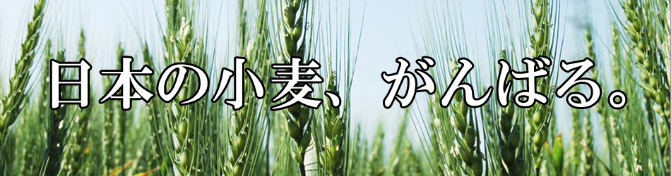 日本の麦の底力のヘッダー画像