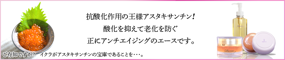 株式会社エレガンスリリィのヘッダー画像