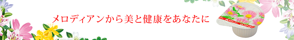 メロディアン株式会社のヘッダー画像