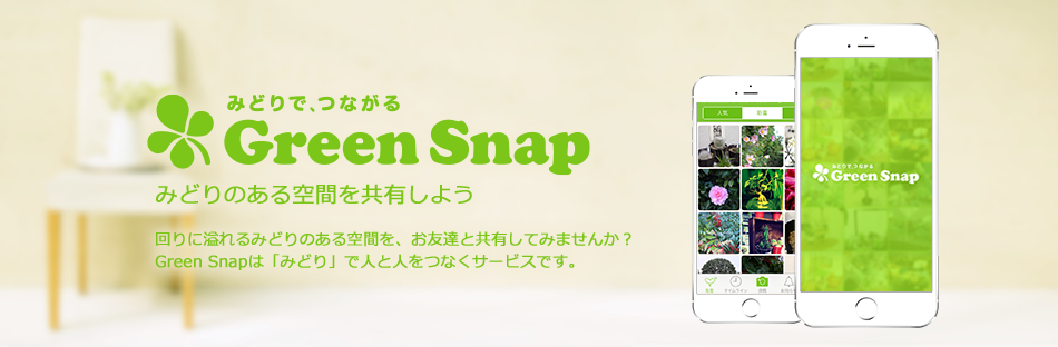 GreenSnapのファンサイト「みどりで、つながるGreenSnapのブロガー向けファンサイト」