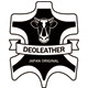 消臭インソール DEOLEATHER［デオレザー］