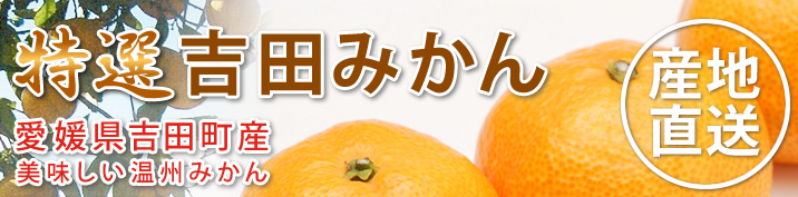 愛媛 吉田みかんと宇和海の幸産直店　なかいのヘッダー画像