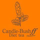 イベント「もっとキレイになりたい女性専用のダイエット茶「キャンドルブッシュff」」の画像