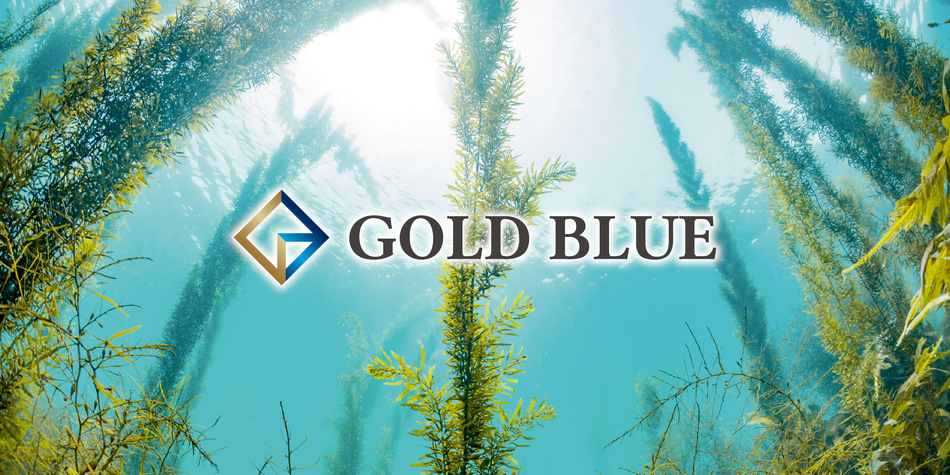株式会社GOLD BLUEのヘッダー画像