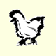 こだわり烏骨鶏(うこっけい)の松本ファーム！ ファンブロガーサイト