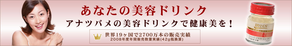 ブランズジャパン株式会社 （サントリーグループ）のヘッダー画像