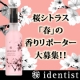イベント「【石澤研究所】春気分を満喫！桜シトラスの香りレポーター大募集！！」の画像