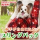 イベント「ペピイ☆両手が自由で手軽に使えるスリングバッグ。『かぼちゃスリング』10名様 」の画像