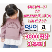 「【3000円分のQUOカード or アマゾンギフト券プレゼント!!合計2名様】1歳～4歳の女児キャラクター服についてのアンケート♪」の画像、合同会社アーツクローズのモニター・サンプル企画