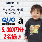 「【5000円分のQUOカード or アマゾンギフト券プレゼント!!合計2名様】0歳～6歳のお子様についてのアンケート♪」の画像、合同会社アーツクローズのモニター・サンプル企画