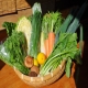 イベント「オープン記念！九州のとれたて旬野菜の直送でお届け！みずみずしさが違います！」の画像