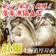 イベント「ビギナー限定☆誰と？誰の為に？北海道厚岸産　生牡蠣の殻むきリポーターにチャレンジ」の画像