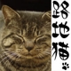 イベント「再び猫企画！お気に入り猫写真募集！【DVD『路地猫』】」の画像