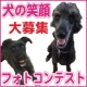 イベント「【ワンちゃんのプラチナム笑顔ください♪】愛犬フォトコンテスト」の画像