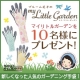 イベント「味覚狩りのお供に☆おしゃれなガーデニング手袋を10名様にプレゼント」の画像