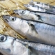 イベント「鮪のトロに匹敵する脂のり！釧路直送！朝獲れ「お刺身用」トロ秋刀魚」の画像