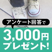 簡単なアンケートで3 000円をゲット 子どもの靴のニオイのアンケート サニクリーンファンサイト モニプラ