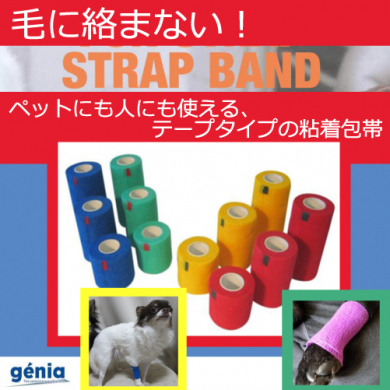 粘着包帯（バンデージ）STRAP BAND （ペットにも人にも使える）楽天市場店