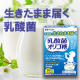 【体の中から健やかに】ビフィズス菌と生きたまま届く乳酸菌を配合！乳酸菌オリゴ糖モニター様10名募集！