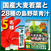 「黒糖風味で飲みやすい【国産大麦若葉と２８種の沖縄島野菜青汁】モニター様５名募集！」の画像、井藤漢方製薬株式会社のモニター・サンプル企画